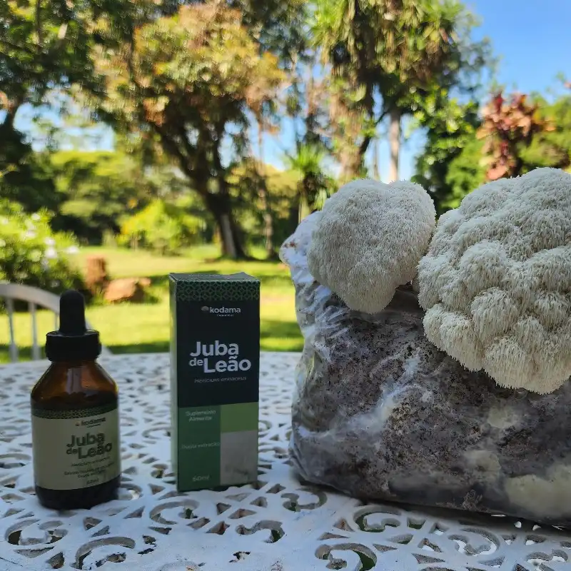 5 und extrato Líquido Juba de Leão 60ml - Imagem 3