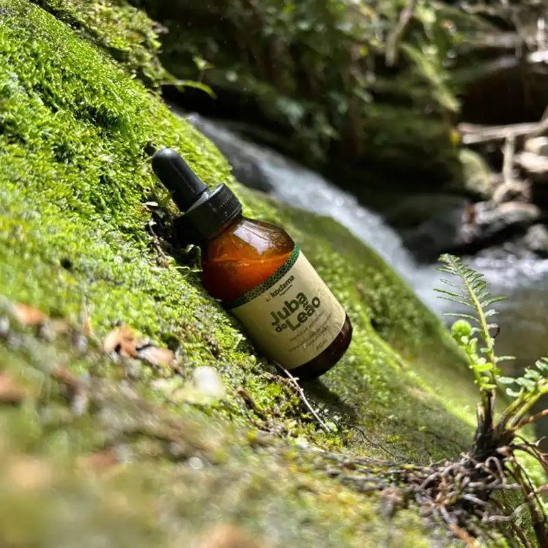 Kit Extrato Líquido de Juba de Leão e Cordyceps militaris (2 unid. 60ml de cada) - Imagem 4