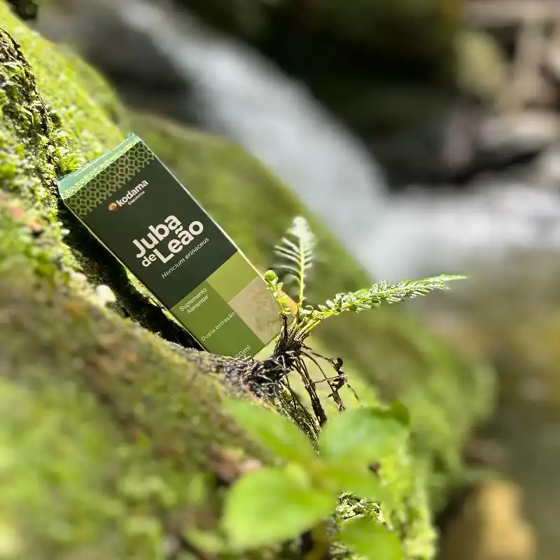 5 und extrato Líquido Juba de Leão 60ml - Imagem 5